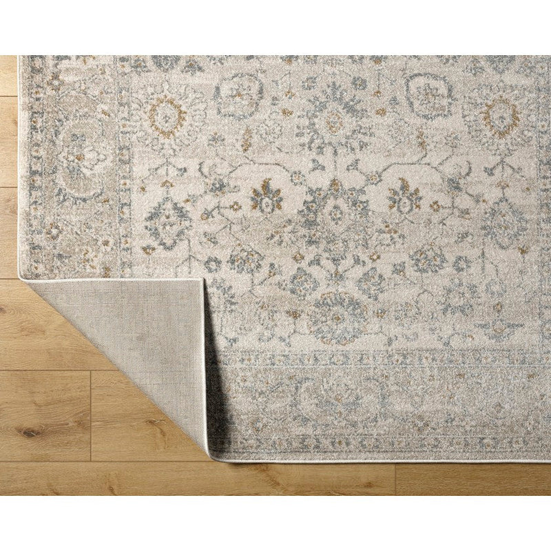 Johney Traditional Light Gray Area Rug