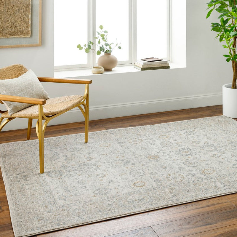 Johney Traditional Light Gray Area Rug