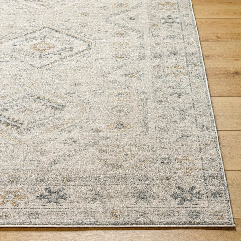 Evangelia Traditional Charcoal Area Rug