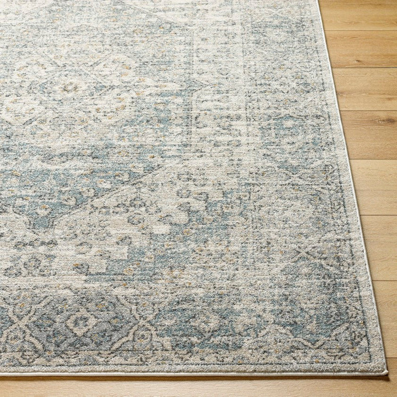 Nastashia Traditional Charcoal/Denim Area Rug