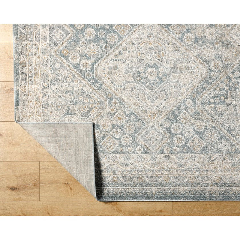 Dakesha Traditional Medium Gray/Beige Area Rug