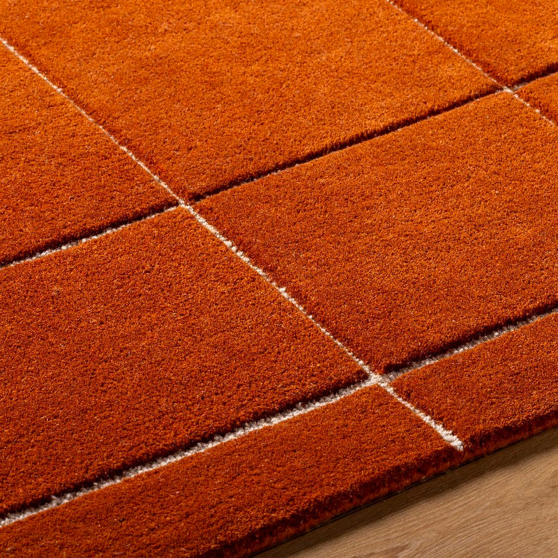 Isai Modern Bright Orange Area Rug