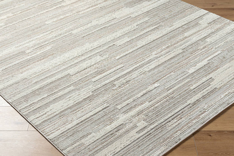 Shone Modern Light Gray/Medium Brown Area Rug