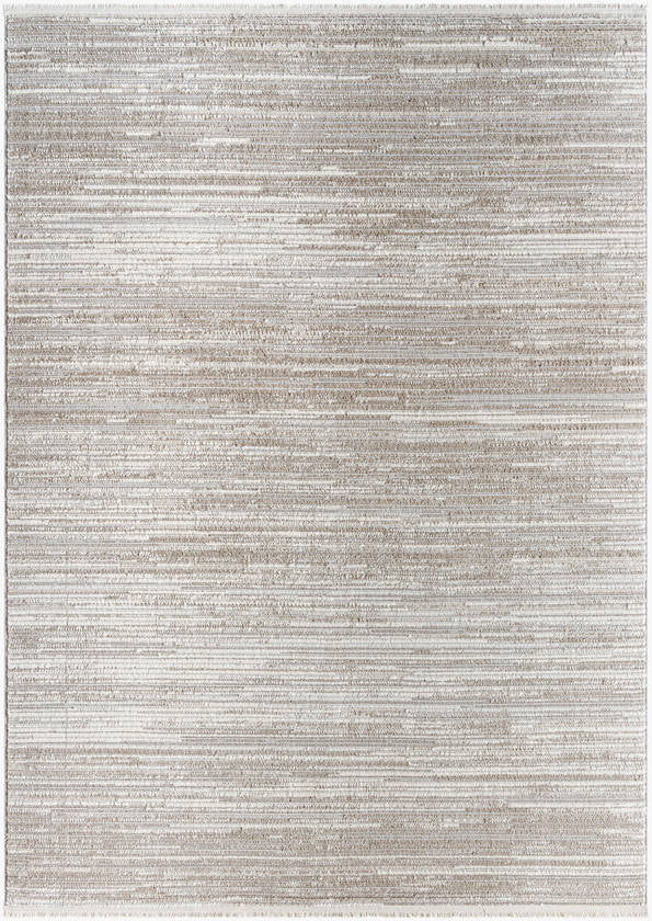 Letica Modern Dark Brown Area Rug