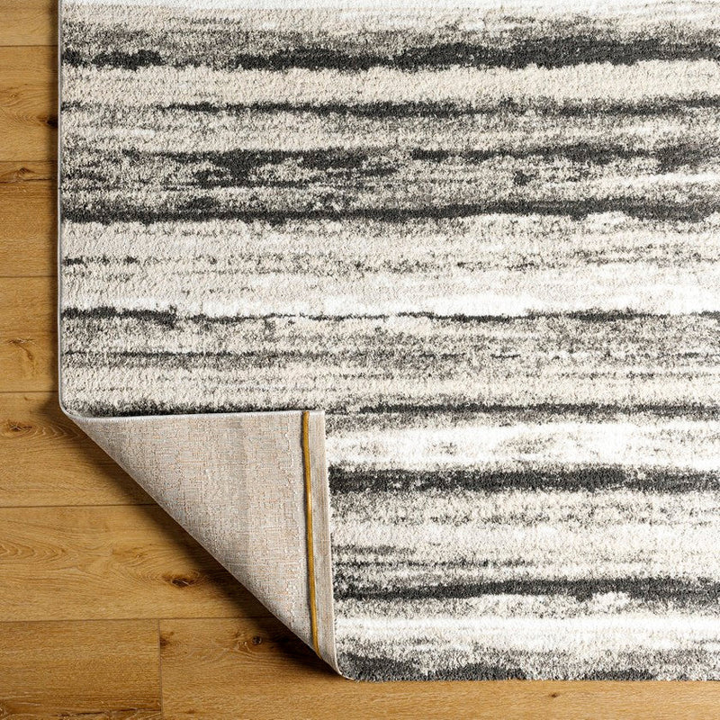 Rayshon Modern Black Area Rug