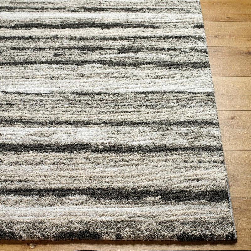 Rayshon Modern Black Area Rug