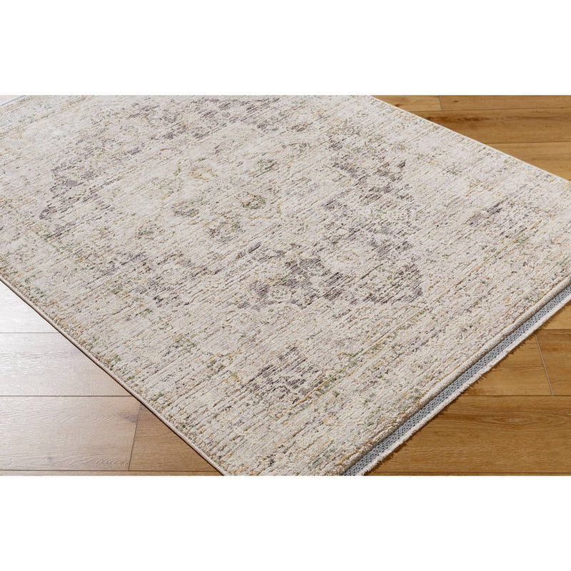 Sandrea Traditional Light Brown Area Rug