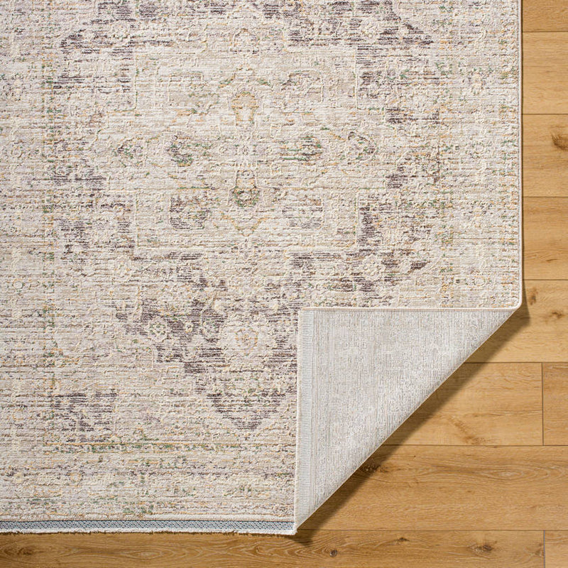 Sandrea Traditional Light Brown Area Rug