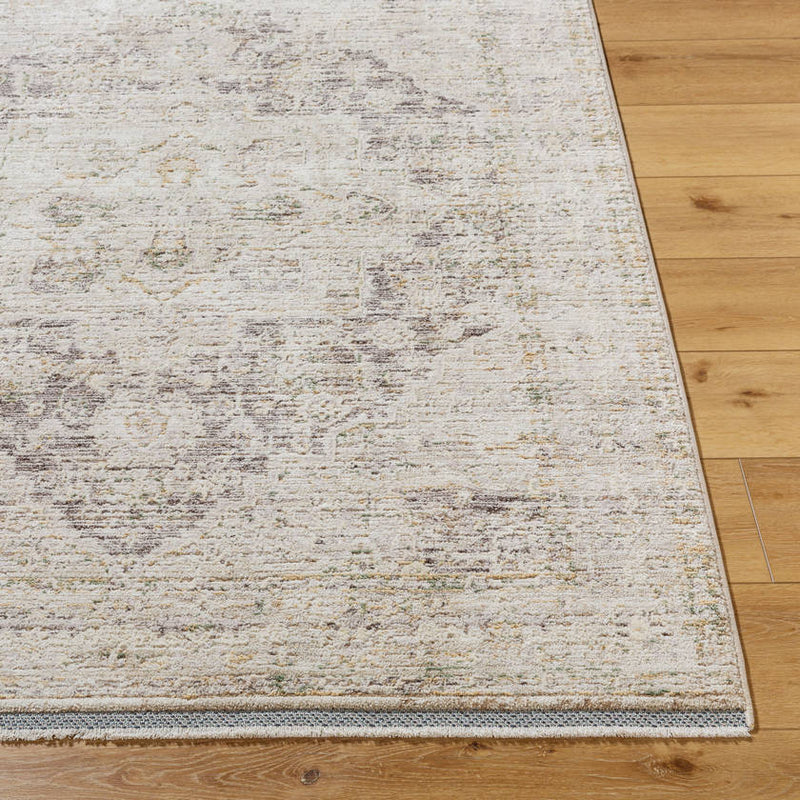 Sandrea Traditional Light Brown Area Rug