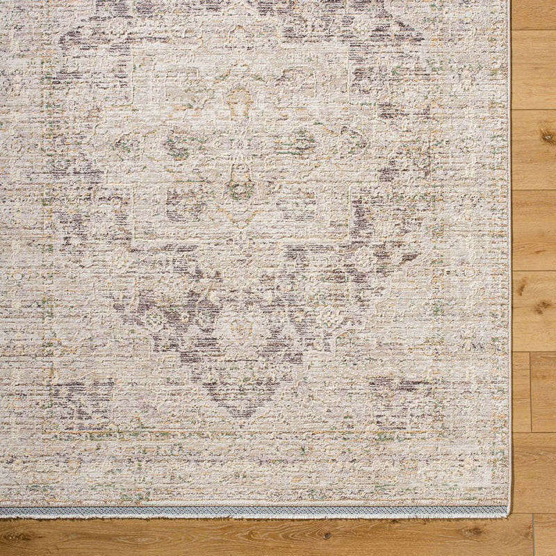 Sandrea Traditional Light Brown Area Rug