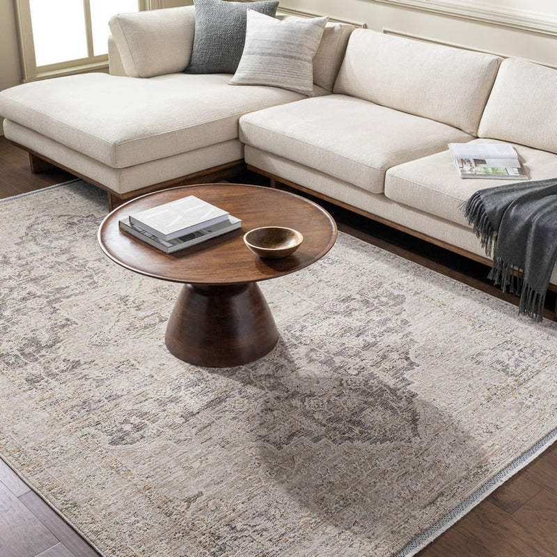 Sandrea Traditional Light Brown Area Rug