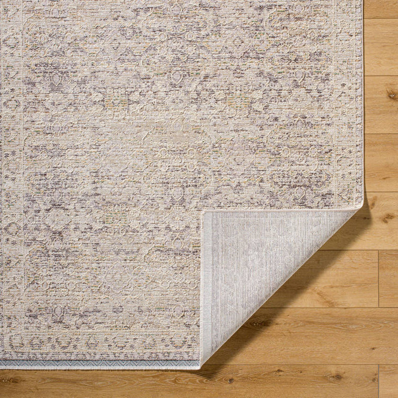 Beth Traditional Light Brown/Cream Area Rug