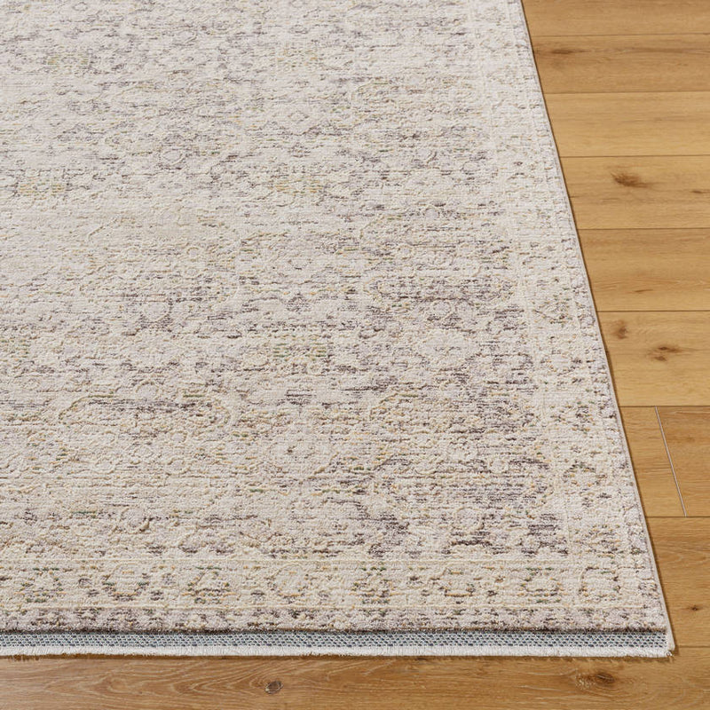 Beth Traditional Light Brown/Cream Area Rug