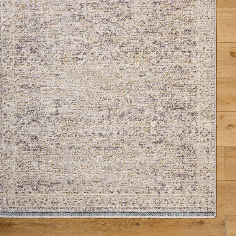 Beth Traditional Light Brown/Cream Area Rug