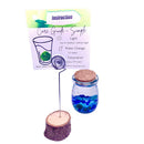 Marimo moss ball kit 3PCS designed as gift for single moms 60 days guarantee of free placement