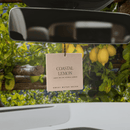 Coastal Lemon Hanging Air Freshener by Sweet Water Decor