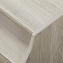 Lisa 2 Drawer Nightstand with USB