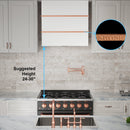 Akicon 30" Stainless Steel Wall Mount Range Hood with 600 CFM Vent Hood - AK-HS30HC-SW