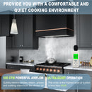 Akicon 36" Stainless Steel Wall Mount Range Hood with 600 CFM Vent Hood - AK-HS36HA-JB