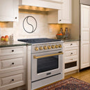 36" Slide-in Freestanding Professional Style Gas Range with 5.2 Cu. Ft. Oven, 6 Burners - AK-JK36A1-S