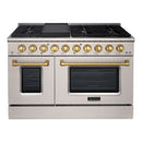 48" Slide-in Freestanding Professional Style Gas Range with 6.7 Cu. Ft. Oven, 8 Burners, AK-JK48A1-S