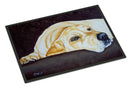 Naptime Yellow Labrador Doormat Indoor Outdoor 18H X 27W Front Door Mat Rugs for Entryway, Non Slip Washable