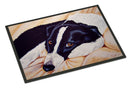 Naptime Border Collie Doormat Indoor Outdoor 18H X 27W Front Door Mat Rugs for Entryway, Non Slip Washable