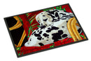 Sunday Nap Dalmatian Doormat Indoor Outdoor 18H X 27W Front Door Mat Rugs for Entryway, Non Slip Washable