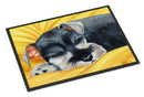 Snoozing Schnauzer Doormat Indoor Outdoor 24H X 36W Front Door Mat Rugs for Entryway, Non Slip Washable Low Pile,
