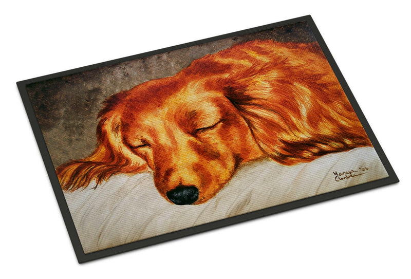 Red Longhaired Dachshund Indoor or Outdoor Mat 18x27 AMB1202MAT