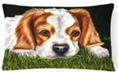 Cavalier Spaniel in the Grass Decorative Throw Pillow 12x16 Indoor Outdoor Accent Cushion, Fabric Cover with Insert for Sofa, Bed, Porch & Living Room