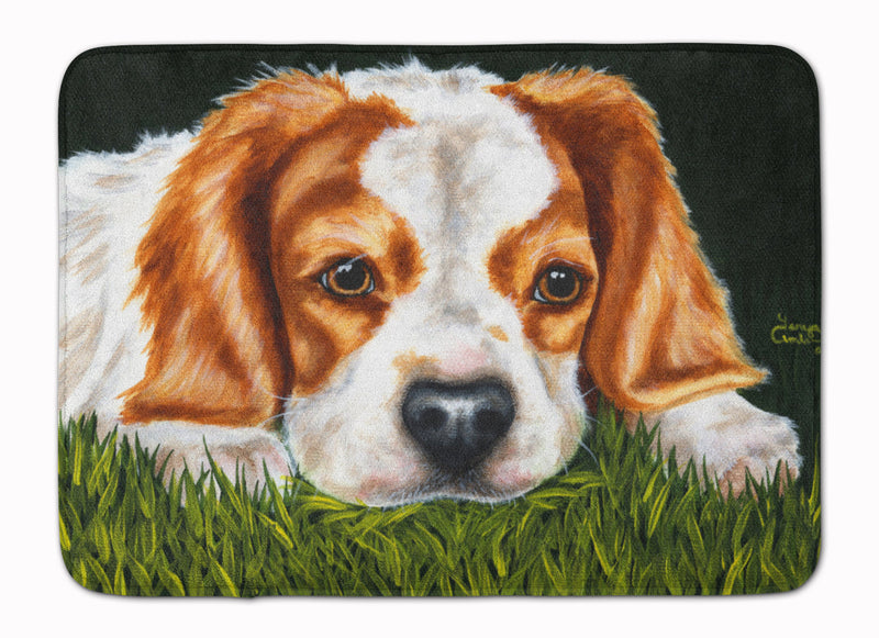 Cavalier Spaniel in the Grass Machine Washable Memory Foam Mat AMB1395RUG