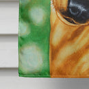 The Eyes Have It Dachshund House Flag 28x40 Porch Sleeve Pole Decorative Outside Yard Banner Artwork Wall Hanging, Polyester