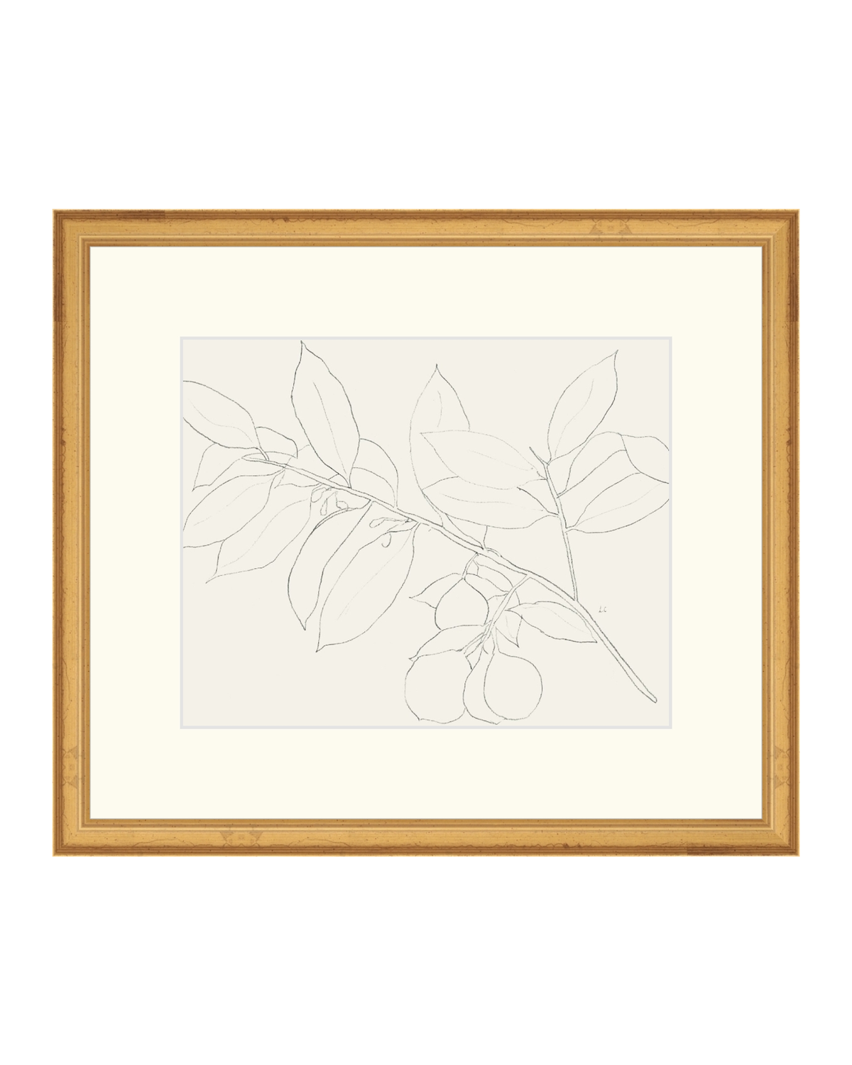 Lemon Branch Drawing, photo 34 of 42