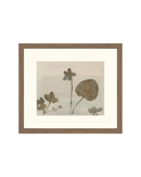 Botanical Thoughts III