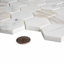 5-Pack Gray 12-in x 12-in Honed Natural Stone Honeycomb Marble Look Floor and Wall Tile