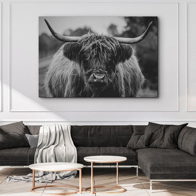 Highland Cow Rustic Gray Canvas Wall Art