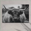 Highland Cow Rustic Gray Canvas Wall Art