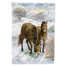 Exmoor Ponies Horse House Flag 28x40 Porch Sleeve Pole Decorative Outside Yard Banner Artwork Wall Hanging, Polyester