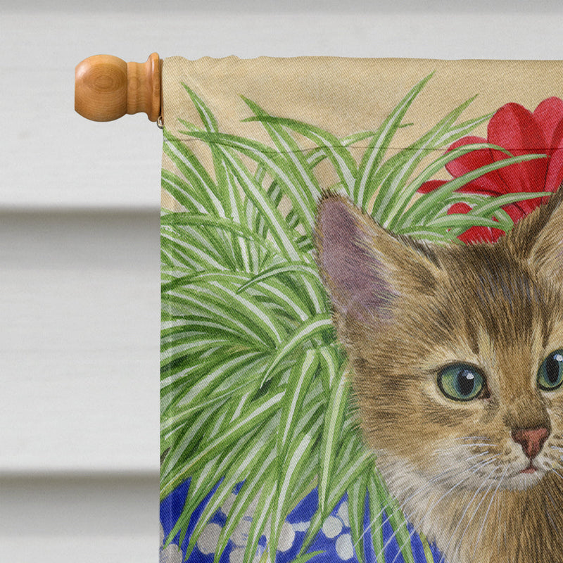 Abyssinian Kitten Flag Canvas House Size ASA2164CHF