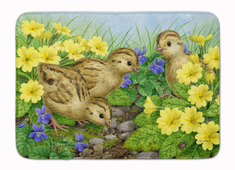 Pheasant Chicks Machine Washable Memory Foam Mat ASA2177RUG