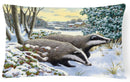 Winter Badgers Decorative Throw Pillow 12x16 Indoor Outdoor Accent Cushion, Fabric Cover with Insert for Sofa, Bed, Porch & Living Room
