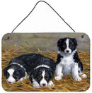 Border Collie Puppies Wall or Door Hanging Prints ASA2196DS812