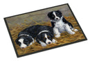 Border Collie Puppies Doormat - 24x36 Decorative Floor Mat – Indoor/Outdoor Rug with Artistic Flair ASA2196JMAT - Large 24x36 – Indoor/Outdoor Floor Mats with Artistic Flair