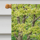 Spring Flowers by Sarah Adams House Flag 28x40 Porch Sleeve Pole Decorative Outside Yard Banner Artwork Wall Hanging, Polyester