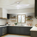 52" Punjab Industrial DC Motor Downrod Mount Reversible Ceiling Fan with Remote Control