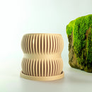 Aureus Planter with Drainage