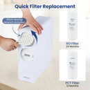 800 GPD Tankless Reverse Osmosis Water Filter System by LJGDeals