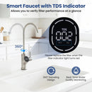 800 GPD Tankless Reverse Osmosis Water Filter System by LJGDeals