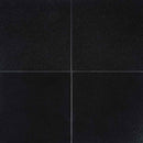 MSI Absolute Black Granite Wall and Floor Tile 12"x12"